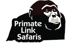 Primate Link Safari